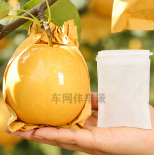 廠家直供 加厚防水透氣無紡布水果套袋 蘋果梨桃葡萄通用型（送扎絲）