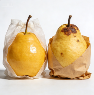 2026環保升級 全生物降解無紡布水果套袋 有機果園專用 可堆肥